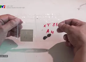 Chất Việt: Hương trong văn hóa Việt