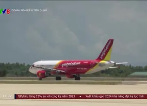 Doanh nghiệp và tiêu dùng - 05/11/2024