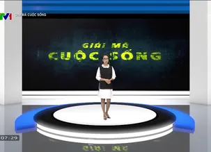 Giải mã cuộc sống: Nghề bảo mẫu cho hổ