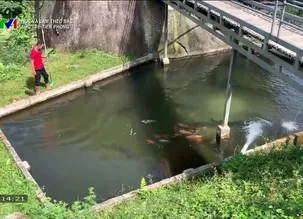 Học và làm theo Bác: Vượt khó trên đỉnh Pù Lầu