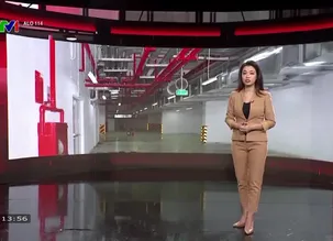 Alo 114 - 17/11/2024