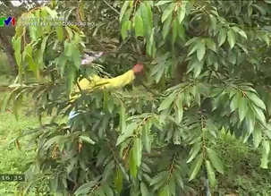 Dân tộc và phát triển: Đoàn kết xây dựng cuộc sống mới