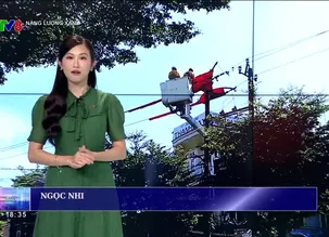 Năng lượng xanh 2024 - Số 41 - 20/11/2024