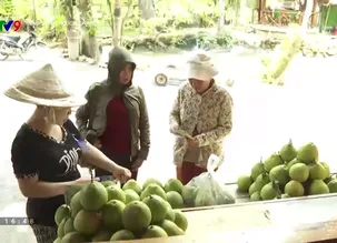 Năng động phương Nam 2024 - Số 109