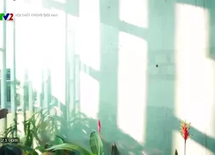 Nội thất không giới hạn: Xu hướng sống xanh trong thiết kế nội thất