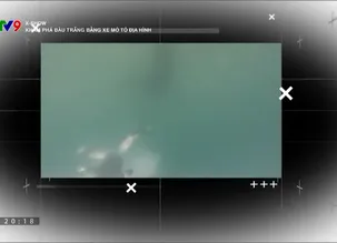 X-Show: Khám phá Bàu Trắng bằng xe mô tô địa hình