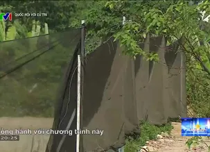 Quốc hội với cử tri - 25/11/2024