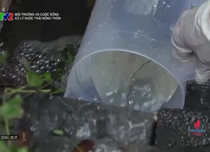 Môi trường và cuộc sống:Xử lý nước thải nông thôn