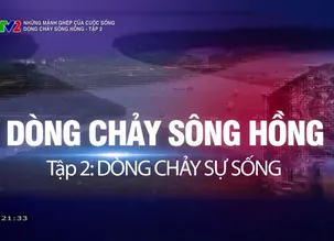 Những mảnh ghép của cuộc sống: Dòng chảy sông Hồng - Tập 2