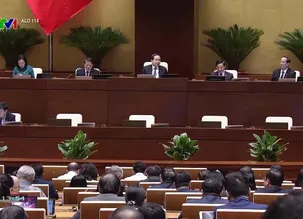 Alo 114 - 01/12/2024