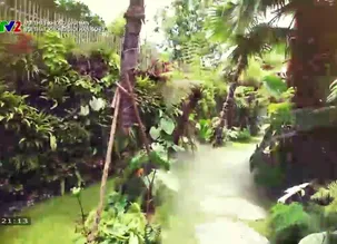 Nội thất không giới hạn: Phong cách nhiệt đới trong thiết kế nội thất