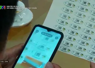 Dân tộc và phát triển: Xây dựng vùng nguyên liệu đạt chuẩn