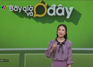 Bây giờ và ở đây 2024 - Số 31