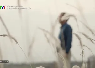 Văn học nghệ thuật: Giọng ca đằm trong hương lúa