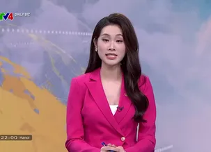 Daily Biz - 11/12/2024