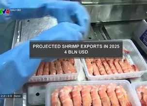 Daily Biz - 13/12/2024