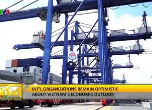 Week in Review - 14/12/2024