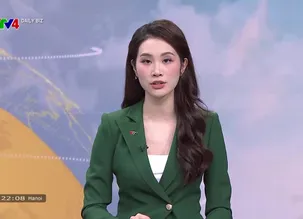 Daily Biz - 16/12/2024