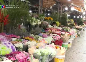 Xin chào, Việt Nam: Khám phá chợ hoa