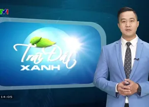 Trái đất xanh - 19/12/2024