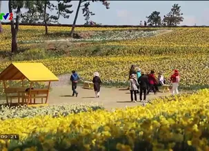 Bây giờ và ở đây 2024 - Số 32