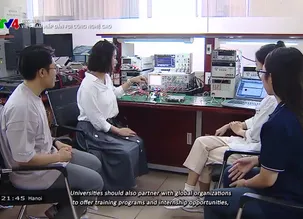 Bizline - 21/12/2024