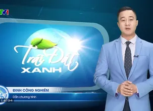 Trái đất xanh - 21/12/2024