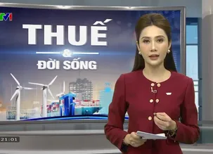 Thuế và đời sống - 23/12/2024