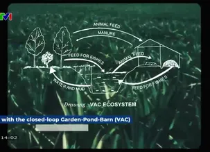 Trái đất xanh - 23/12/2024