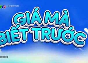 Giá mà biết trước - Số 25 - 25/12/2024