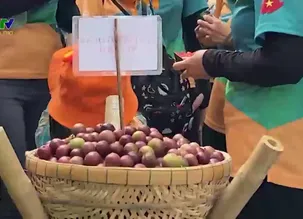 Thương nhớ miền Tây: Du lịch '' bụi '' trên nóc nhà đồng bằng