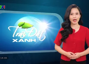 Trái đất xanh - 25/12/2024