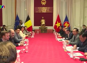 Trái đất xanh - 26/12/2024