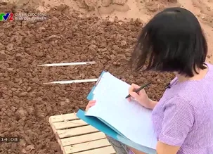 Giải mã cuộc sống: Bí ẩn của tự nhiên