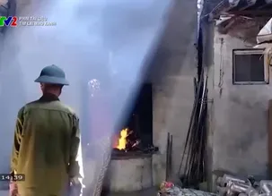 Phim tài liệu: Tìm lại màu xanh