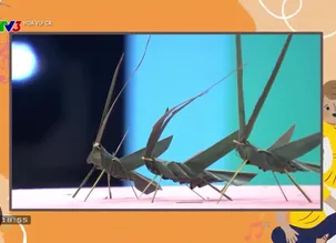 Hoa vui ca - 01/01/2025