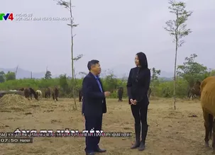 Phóng sự: Một ngày bình yên ở Thái Nguyên