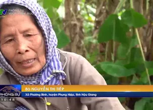 Phóng sự: Vườn xanh, Ruộng sạch