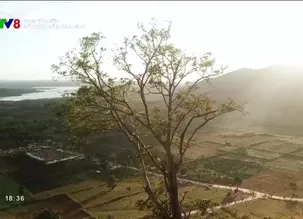 Phim tài liệu: Sắc màu văn hóa Jrai