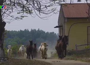 Phóng sự: Thái Nguyên - Số 15