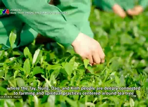 Phóng sự: Nghệ thuật thưởng trà của người Thái Nguyên