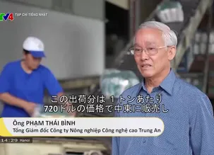 Tạp chí tiếng Nhật - 12/01/2025