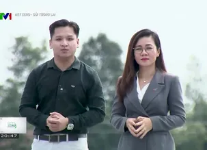 Net Zero - Gửi tương lai - 14/01/2025