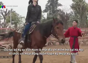 Culture Mosaic - 18/01/2025