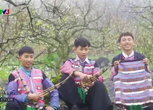 S - Việt Nam - 18/01/2025