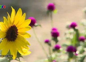 Week in Review - 18/01/2025