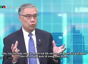 Bizline - 19/01/2025