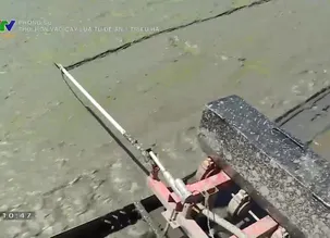 Phóng sự: Thổi hồn vào cây lúa từ Đề án 1 triệu ha