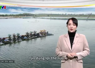 Tạp chí tiếng Nhật - 19/01/2025