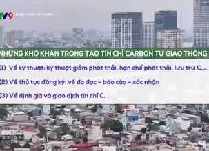 Hành trình Net Zero 2025 - Số 3